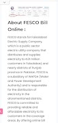 Fesco Bill screenshot 5