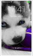 Husky Puppy HD PIN Lock Screen poster