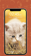 หน้าจอล็อครหัสผ่าน Kitty Cat ภาพหน้าจอ 4