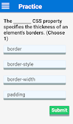 CSS Interview Practice Premium screenshot 1