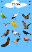 Birds - Learning Birds screenshot 6