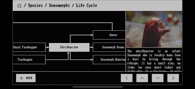 Weyland-Yutani Data Archive screenshot 2