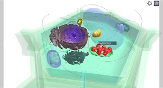 3D Virtual Cell Ekran Görüntüsü 4