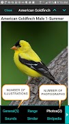 iBird Yard Plus Guide to Birds captura de pantalla 3