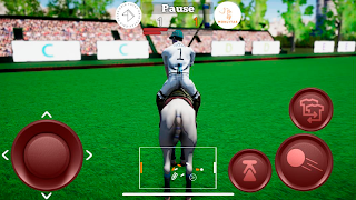 Polo Game الملصق