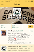 ESAFC Screenshot 1