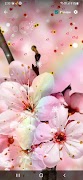 Cherry Blossom Wallpaper ภาพหน้าจอ 1