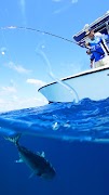 FishFlicks ảnh chụp màn hình 3