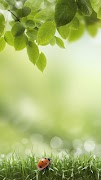 برنامه‌نما Green Spring Live Wallpaper عکس از صفحه