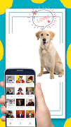 Dog Translator 截圖 1