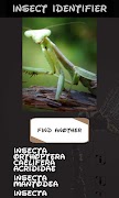 Automatic insect identifier screenshot 4