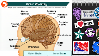 Rebound: Beating Concussions ภาพหน้าจอ 4