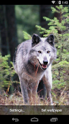 Wolves Live Wallpapers syot layar 5