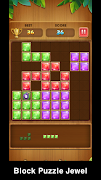 Block Puzzle Jewel 截图 3