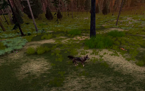 3 Schermata Wolfquest Game Walkthrough
