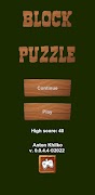 Block Puzzle تصوير الشاشة 3