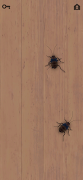 CAT ALONE - Cat Toy screenshot 7