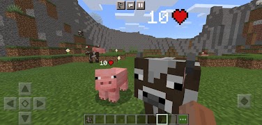 Damage Indicator Health Mod Minecraft screenshot 7
