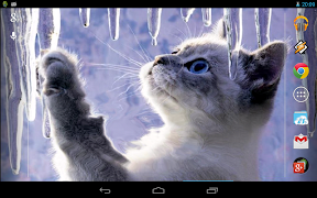 Interactive Kitten स्क्रीनशॉट 5