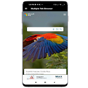 Multiple Tab Browser ảnh chụp màn hình 2