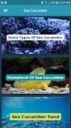 Sea Cucumber screenshot 3
