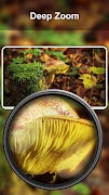 Microscope Magnifier Camera تصوير الشاشة 6