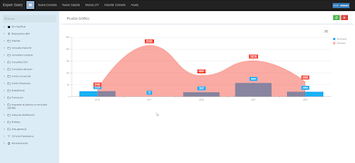 Expert Query Screenshot 2