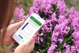 Computer literacy اسکرین شاٹ 6