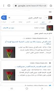 بحث بصوره عكس الصورة Screenshot 3