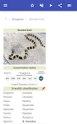Venomous animals screenshot 7