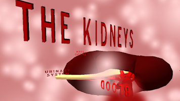 The Kidney VR screenshot 2