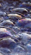 Bubble Wallpapers imagem de tela 3