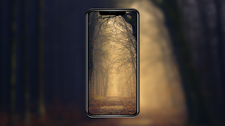 Nature Wallpaper HD screenshot 1