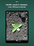 MagicScout 스크린샷 6