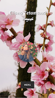 پوستر Eliana Tetamanzi