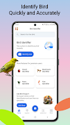 Bird identifier poster