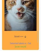 Auto Text Recognizer 截圖 1