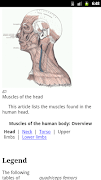 Human Anatomy screenshot 1