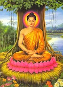 Basic Buddhism imagem de tela 3