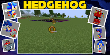 Hedgehog mod स्क्रीनशॉट 5