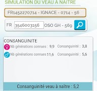 ORIGENPLUS スクリーンショット 5