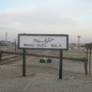 Multan Database 截图 1