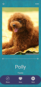 Dog Name Visual Matcher screenshot 4