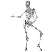 Dancing Bones পোস্টার