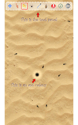 Ant Sandbox Screenshot 2
