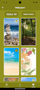 برنامه‌نما Open Breathwork Freely Breathe عکس از صفحه