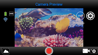 Action View II скриншот 2