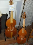 Viola Lessons اسکرین شاٹ 1