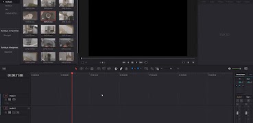 Davinci Resolve Manual Pro screenshot 1