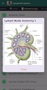 برنامه‌نما Medical Reference Guides Learn عکس از صفحه